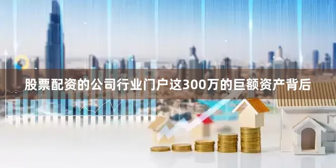 股票配资的公司行业门户这300万的巨额资产背后