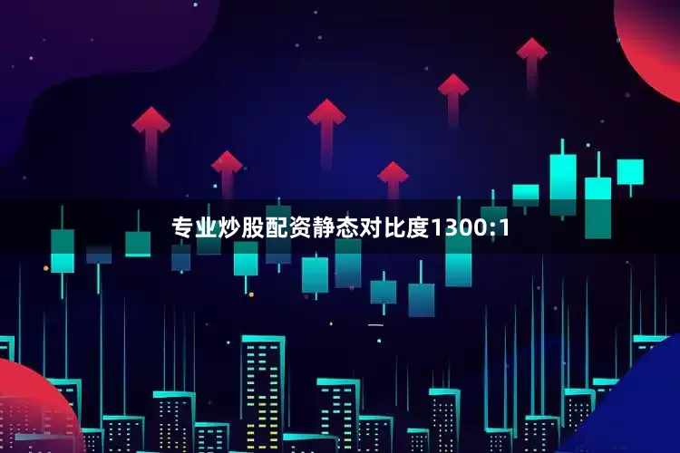 专业炒股配资静态对比度1300:1