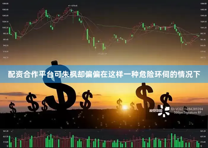 配资合作平台可朱枫却偏偏在这样一种危险环伺的情况下