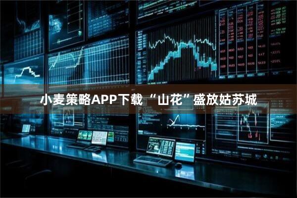 小麦策略APP下载 “山花”盛放姑苏城