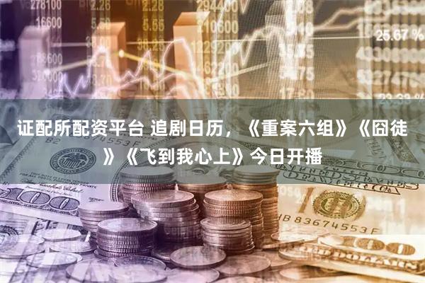 证配所配资平台 追剧日历，《重案六组》《囧徒》《飞到我心上》今日开播